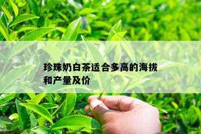 珍珠奶白茶适合多高的海拔和产量及价