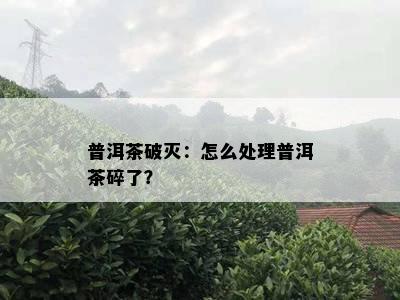 普洱茶破灭：怎么处理普洱茶碎了？