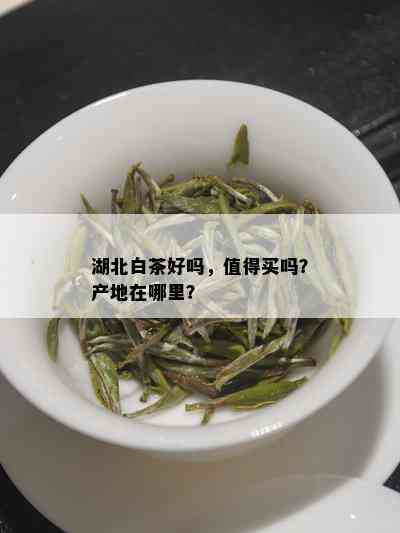 湖北白茶好吗，值得买吗？产地在哪里？