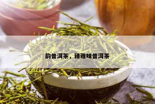 韵普洱茶，臻雅味普洱茶