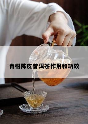 青柑陈皮普洱茶作用和功效