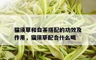 猫须草和白茶搭配的功效及作用，猫须草配合什么喝