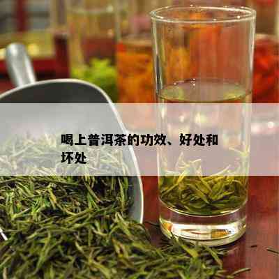 喝上普洱茶的功效、好处和坏处