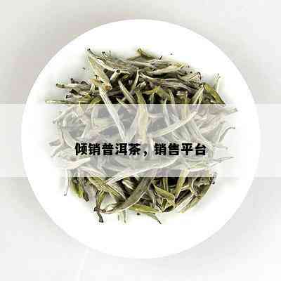 倾销普洱茶，销售平台