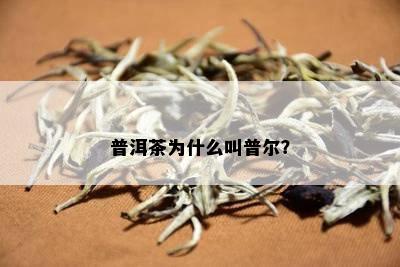 普洱茶为什么叫普尔？