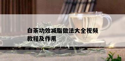 白茶功效减脂做法大全视频教程及作用