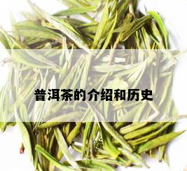 普洱茶的介绍和历史