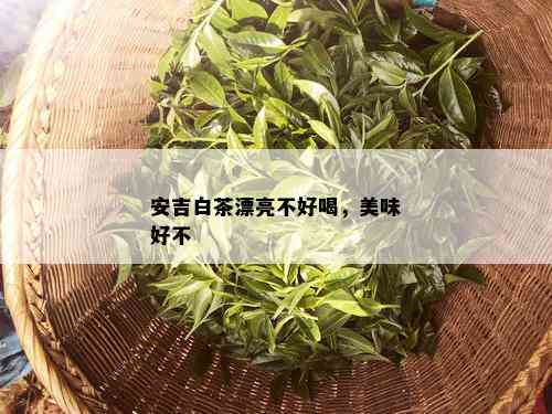 安吉白茶漂亮不好喝，美味好不