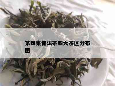 笫四集普洱茶四大茶区分布图