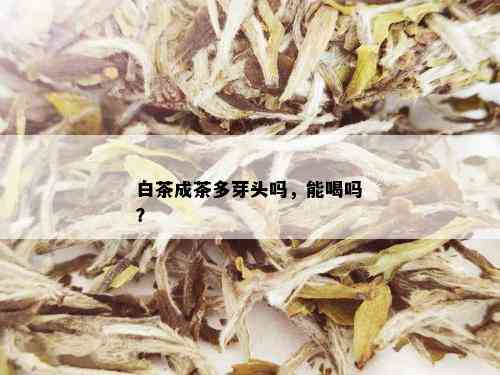 白茶成茶多芽头吗，能喝吗？