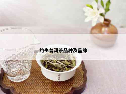 的生普洱茶品种及品牌