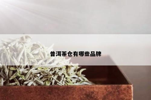 普洱茶仓有哪些品牌