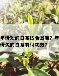 年份短的白茶适合煮嘛？年份久的白茶有何功效？