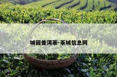 城固普洱茶-茶城信息网