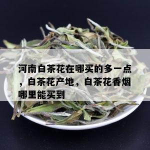 河南白茶花在哪买的多一点，白茶花产地，白茶花香哪里能买到