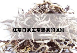 红茶白茶生茶熟茶的区别