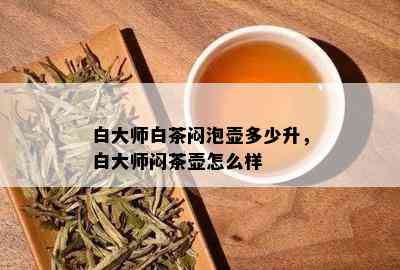 白大师白茶闷泡壶多少升，白大师闷茶壶怎么样