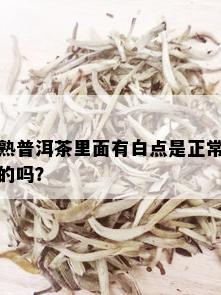 熟普洱茶里面有白点是正常的吗？