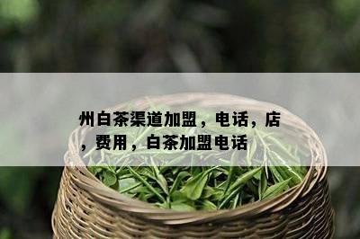 州白茶渠道加盟，电话，店，费用，白茶加盟电话