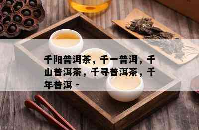 千阳普洱茶，千一普洱，千山普洱茶，千寻普洱茶，千年普洱 -