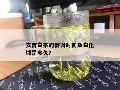 安吉白茶的萎凋时间及白化期是多久？