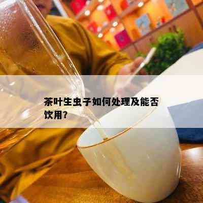 茶叶生虫子如何处理及能否饮用？