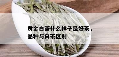 黄金白茶什么样子是好茶，品种与白茶区别