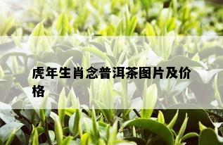 虎年生肖念普洱茶图片及价格