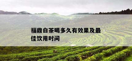 福鼎白茶喝多久有效果及更佳饮用时间