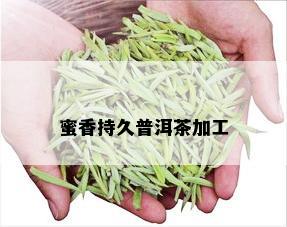 蜜香持久普洱茶加工