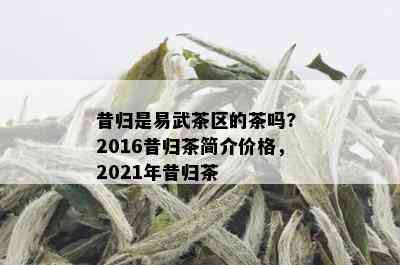 昔归是易武茶区的茶吗? 2016昔归茶简介价格，2021年昔归茶