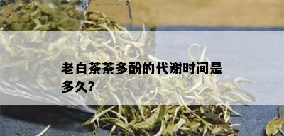 老白茶茶多酚的代谢时间是多久？