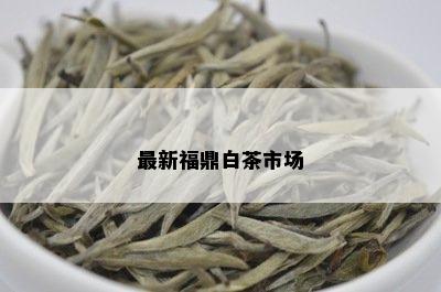 最新福鼎白茶市场