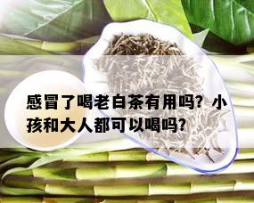 感冒了喝老白茶有用吗？小孩和大人都可以喝吗？