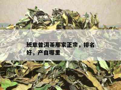 班章普洱茶那家正宗，排名好，产自哪里