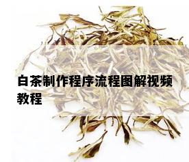 白茶制作程序流程图解视频教程