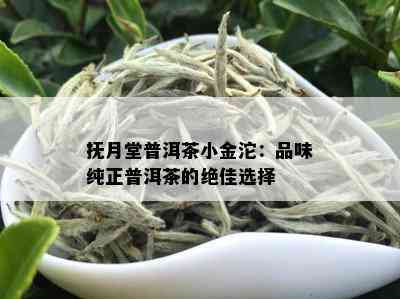 抚月堂普洱茶小金沱：品味纯正普洱茶的绝佳选择