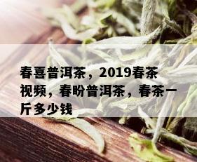 春喜普洱茶，2019春茶视频，春盼普洱茶，春茶一斤多少钱