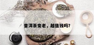 普洱茶变老，越值钱吗？