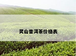 灵山普洱茶价格表