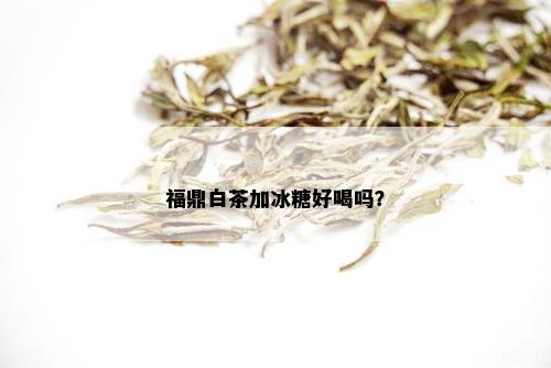 福鼎白茶加冰糖好喝吗？