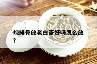 炖排骨放老白茶好吗怎么放？