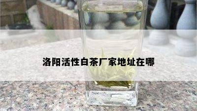 洛阳活性白茶厂家地址在哪