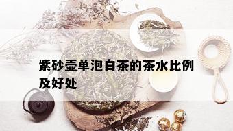 紫砂壶单泡白茶的茶水比例及好处