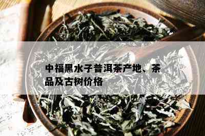 中福黑水子普洱茶产地、茶品及古树价格