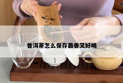 普洱茶怎么保存最香又好喝