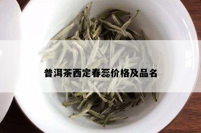 普洱茶西定春蕊价格及品名