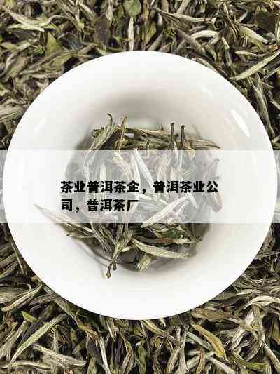 茶业普洱茶企，普洱茶业公司，普洱茶厂