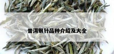 普洱银针品种介绍及大全