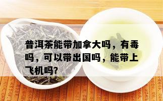 普洱茶能带加拿大吗，有吗，可以带出国吗，能带上飞机吗？